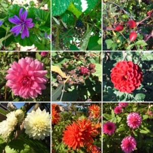 744E1A8A-3093-46A7-9ACF-BD3C4C09985D