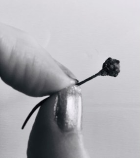 Medieval pin b &amp; w