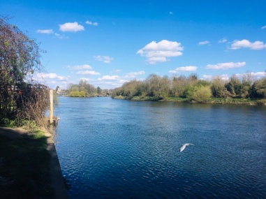 Twickenham downstream 2020