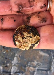Ship's penny token mucky hands