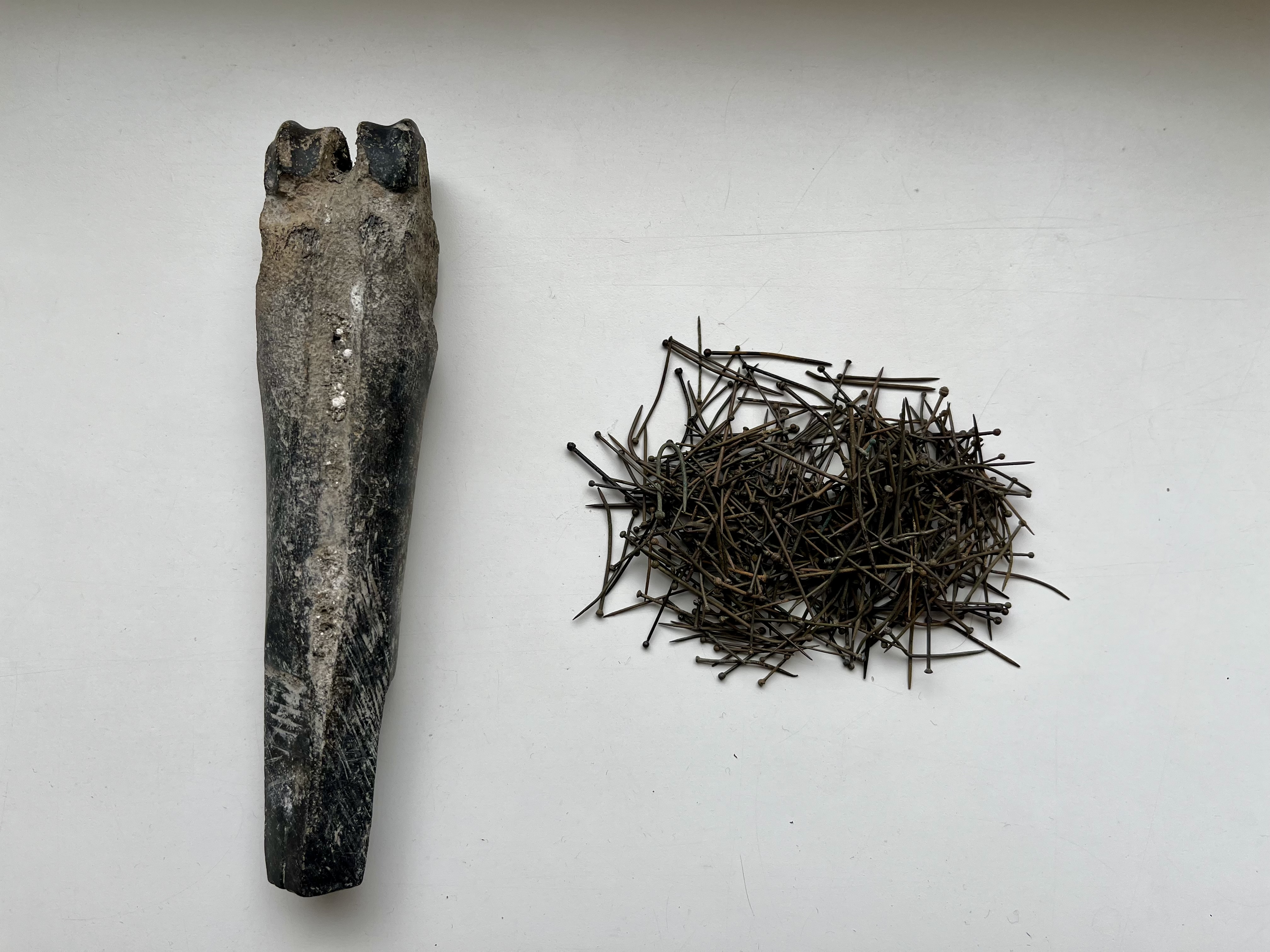 Pinnees Pinner’s Bone – A Mudlark's Diary